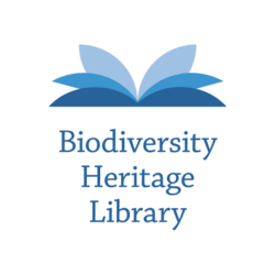 Botanic & Animal Illustrations