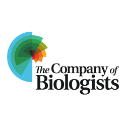 The Company of Biologists